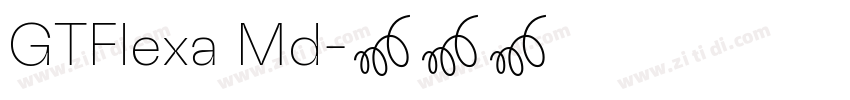 GTFlexa Md字体转换